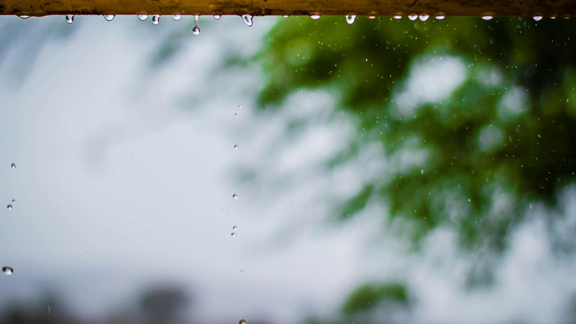 Serene background with a soft focus on a calm natural environment.